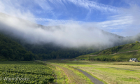 Nebel im Ahrtal in der Nähe von Mayschoss.