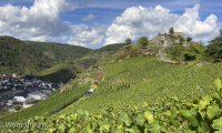 Das Ahrtal bei Mayschoß