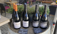 Weine vom Weingut Schell im Ahrtal