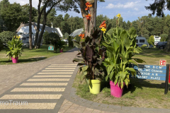 Camping Morski in Leba -