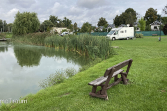 Camping Nad Stawem in Malbork
