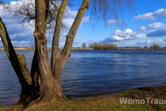 An der Elbe bei Hitzacker