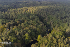 Das Flüsschen Krutynia schlängelt sich durch den Wald in Masuren