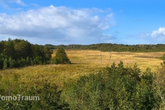 mueritz-nationalpark-3390