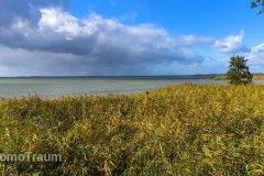 mueritz-nationalpark-3405