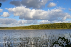 Am Priesterbäker See im Müritz Nationalpark