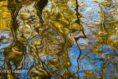 Spiegelungen im Wasser im Müritz Nationalpark