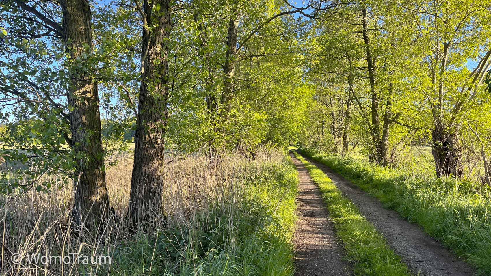 Spaziergang in der Nähe von Rieth