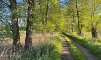 Spaziergang in der Nähe von Rieth