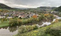 Blick auf die Saar bei Wiltingen
