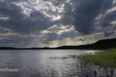 Im Müritz Nationalpark