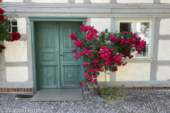 Tür mit Rosenstock in der Hansestadt Werben