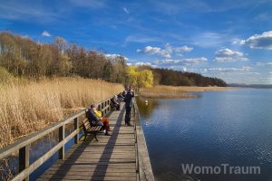 Naturpark Nuthe-Nieplitz Ideal für Naturbeobachtungen ist auch der Bohlensteg am Blannkensee 